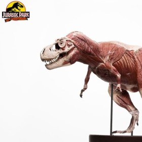 T-Rex Anatomy Jurassic Park 1/12 Statue by Elite Creature Collectibles